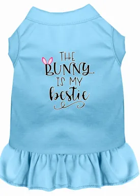 Bunny Is My Bestie Screen Print Dog Dress Baby Blue Xxxl (20)