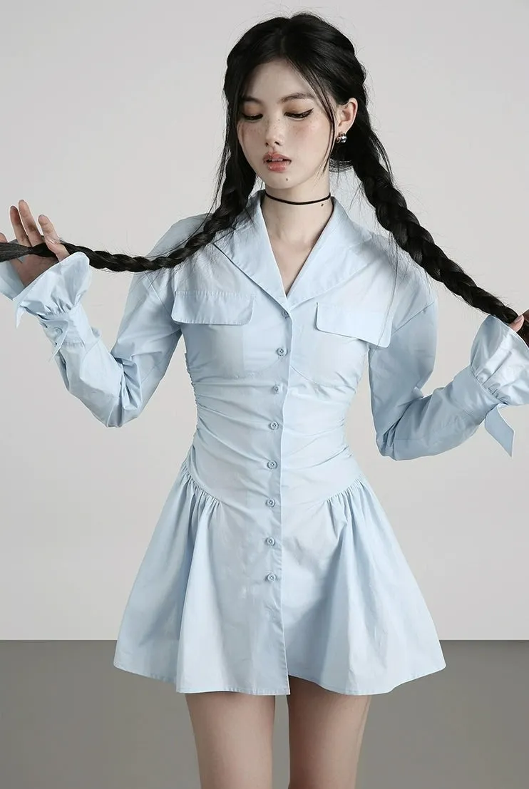 Button-Up Shirt Dress with Flared Skirt and Collar Detail