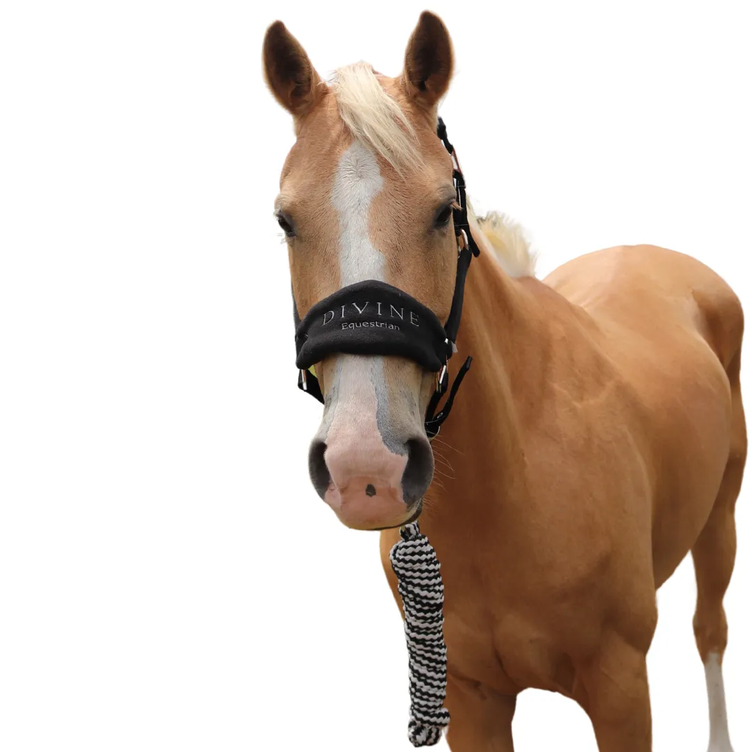 Faithful Fleece Padded Halter