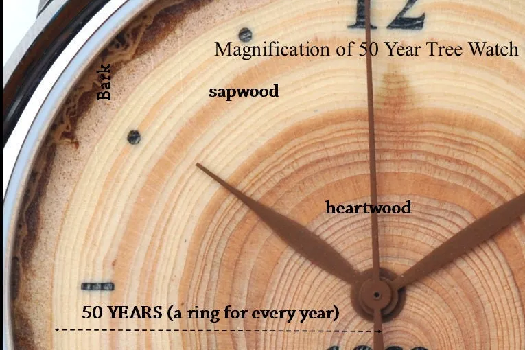 Tree Ring - 50 Years, Womens